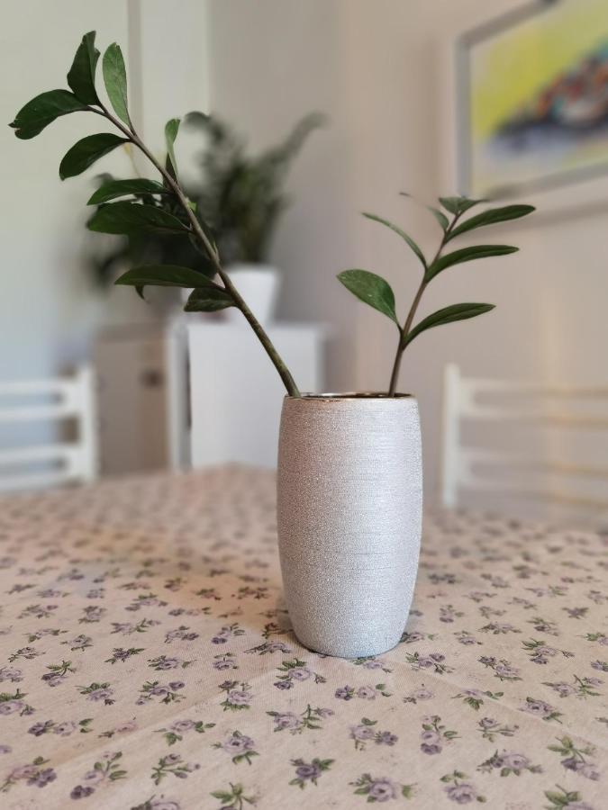 Apartament Apartman Ivo Makarska Zewnętrze zdjęcie